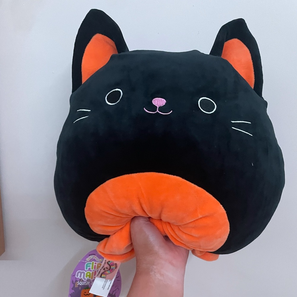 paige the pumpkin / colton the cat squishmallow
